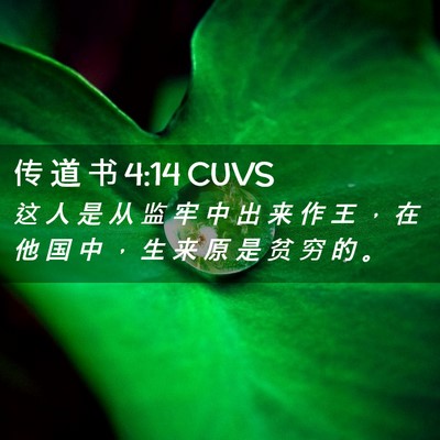 Picture 02 - 传 道 书 4:14 CUVS - 这 人 是 从 监 牢 中 出 来 作 王 ， - Bible Verse Picture