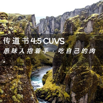 Picture 02 - 传 道 书 4:5 CUVS - 愚 昧 人 抱 着 手 ， 吃 自 己 的 肉 - Bible Verse Picture