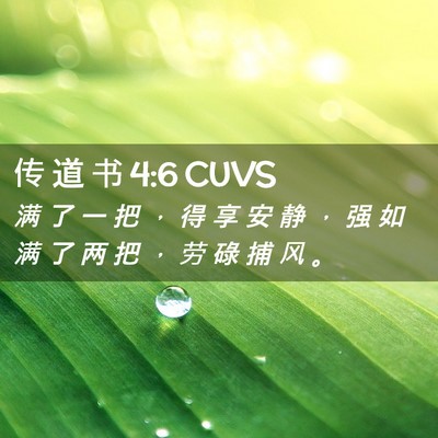 Picture 02 - 传 道 书 4:6 CUVS - 满 了 一 把 ， 得 享 安 静 ， 强 如 - Bible Verse Picture
