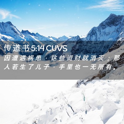 Picture 02 - 传 道 书 5:14 CUVS - 因 遭 遇 祸 患 ， 这 些 资 财 就 消 - Bible Verse Picture