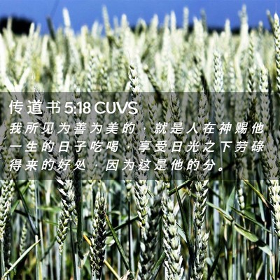Picture 02 - 传 道 书 5:18 CUVS - 我 所 见 为 善 为 美 的 ， 就 是 人 - Bible Verse Picture