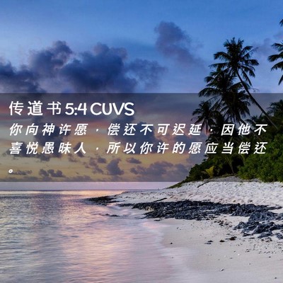 Picture 02 - 传 道 书 5:4 CUVS - 你 向 神 许 愿 ， 偿 还 不 可 迟 延 - Bible Verse Picture