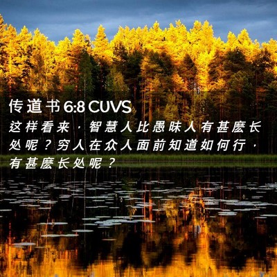 Picture 02 - 传 道 书 6:8 CUVS - 这 样 看 来 ， 智 慧 人 比 愚 昧 人 - Bible Verse Picture
