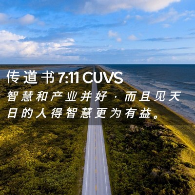 Picture 02 - 传 道 书 7:11 CUVS - 智 慧 和 产 业 并 好 ， 而 且 见 天 - Bible Verse Picture