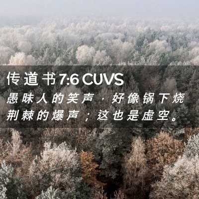 Picture 02 - 传 道 书 7:6 CUVS - 愚 昧 人 的 笑 声 ， 好 像 锅 下 烧 - Bible Verse Picture