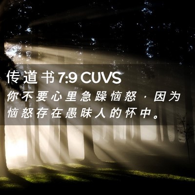 Picture 02 - 传 道 书 7:9 CUVS - 你 不 要 心 里 急 躁 恼 怒 ， 因 为 - Bible Verse Picture
