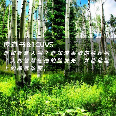 Picture 02 - 传 道 书 8:1 CUVS - 谁 如 智 慧 人 呢 ？ 谁 知 道 事 情 - Bible Verse Picture