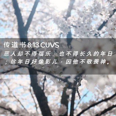 Picture 02 - 传 道 书 8:13 CUVS - 恶 人 却 不 得 福 乐 ， 也 不 得 长 - Bible Verse Picture