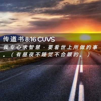 Picture 02 - 传 道 书 8:16 CUVS - 我 专 心 求 智 慧 ， 要 看 世 上 所 - Bible Verse Picture