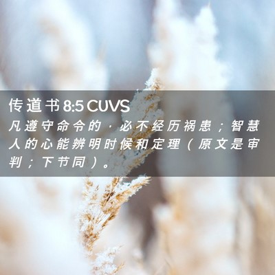 Picture 02 - 传 道 书 8:5 CUVS - 凡 遵 守 命 令 的 ， 必 不 经 历 祸 - Bible Verse Picture