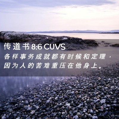 Picture 02 - 传 道 书 8:6 CUVS - 各 样 事 务 成 就 都 有 时 候 和 定 - Bible Verse Picture