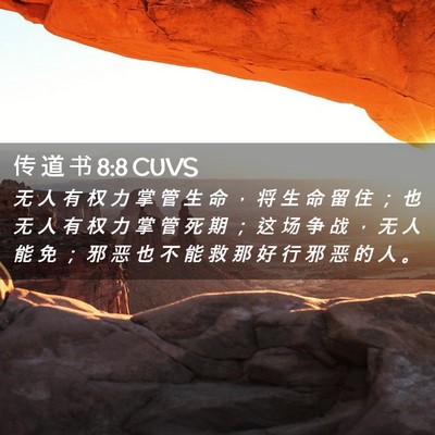 Picture 02 - 传 道 书 8:8 CUVS - 无 人 有 权 力 掌 管 生 命 ， 将 生 - Bible Verse Picture