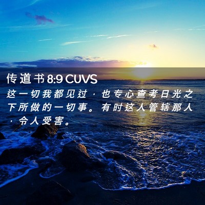 Picture 02 - 传 道 书 8:9 CUVS - 这 一 切 我 都 见 过 ， 也 专 心 查 - Bible Verse Picture