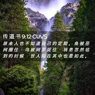 Picture 02 - 传 道 书 9:12 CUVS - 原 来 人 也 不 知 道 自 己 的 定 期 - Bible Verse Picture
