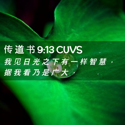 Picture 02 - 传 道 书 9:13 CUVS - 我 见 日 光 之 下 有 一 样 智 慧 ， - Bible Verse Picture