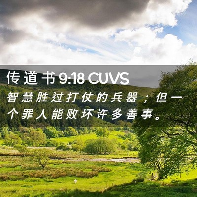 Picture 02 - 传 道 书 9:18 CUVS - 智 慧 胜 过 打 仗 的 兵 器 ； 但 一 - Bible Verse Picture