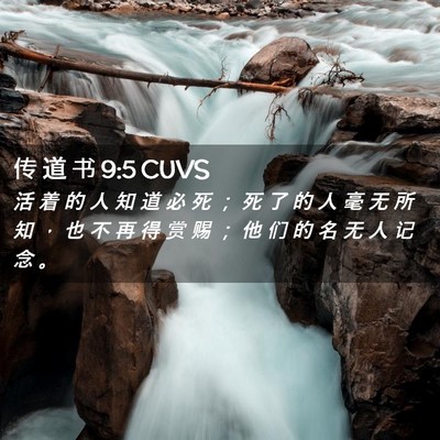 Picture 02 - 传 道 书 9:5 CUVS - 活 着 的 人 知 道 必 死 ； 死 了 的 - Bible Verse Picture