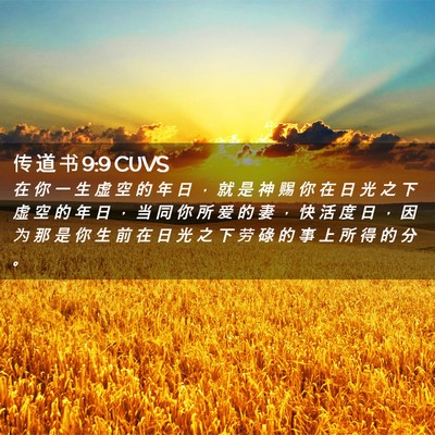 Picture 02 - 传 道 书 9:9 CUVS - 在 你 一 生 虚 空 的 年 日 ， 就 是 - Bible Verse Picture
