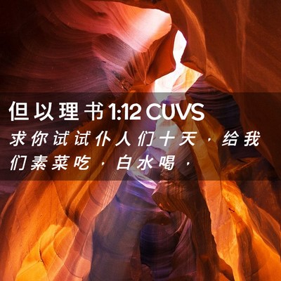 Picture 02 - 但 以 理 书 1:12 CUVS - 求 你 试 试 仆 人 们 十 天 ， 给 我 - Bible Verse Picture