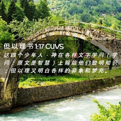 Picture 02 - 但 以 理 书 1:17 CUVS - 这 四 个 少 年 人 ， 神 在 各 样 文 - Bible Verse Picture
