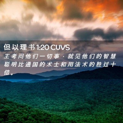 Picture 02 - 但 以 理 书 1:20 CUVS - 王 考 问 他 们 一 切 事 ， 就 见 他 - Bible Verse Picture