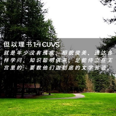 Picture 02 - 但 以 理 书 1:4 CUVS - 就 是 年 少 没 有 残 疾 、 相 貌 俊 - Bible Verse Picture