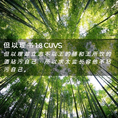 Picture 02 - 但 以 理 书 1:8 CUVS - 但 以 理 却 立 志 不 以 王 的 膳 和 - Bible Verse Picture