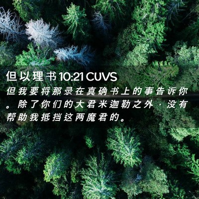 Picture 02 - 但 以 理 书 10:21 CUVS - 但 我 要 将 那 录 在 真 确 书 上 的 - Bible Verse Picture