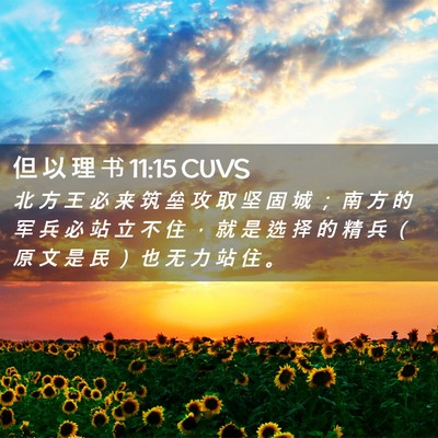 Picture 02 - 但 以 理 书 11:15 CUVS - 北 方 王 必 来 筑 垒 攻 取 坚 固 城 - Bible Verse Picture