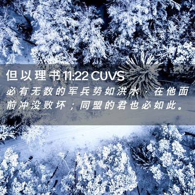 Picture 02 - 但 以 理 书 11:22 CUVS - 必 有 无 数 的 军 兵 势 如 洪 水 ， - Bible Verse Picture