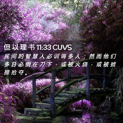 Picture 02 - 但 以 理 书 11:33 CUVS - 民 间 的 智 慧 人 必 训 诲 多 人 ； - Bible Verse Picture