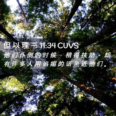 Picture 02 - 但 以 理 书 11:34 CUVS - 他 们 仆 倒 的 时 候 ， 稍 得 扶 助 - Bible Verse Picture