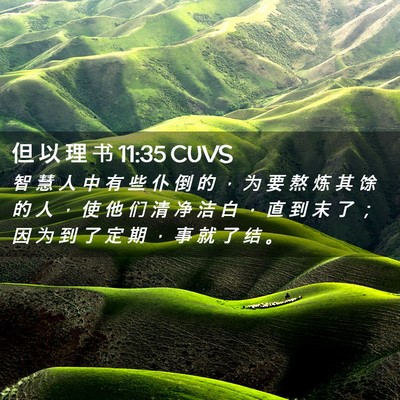 Picture 02 - 但 以 理 书 11:35 CUVS - 智 慧 人 中 有 些 仆 倒 的 ， 为 要 - Bible Verse Picture