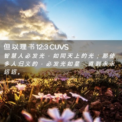 Picture 02 - 但 以 理 书 12:3 CUVS - 智 慧 人 必 发 光 ， 如 同 天 上 的 - Bible Verse Picture