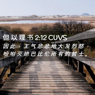 Picture 02 - 但 以 理 书 2:12 CUVS - 因 此 ， 王 气 忿 忿 地 大 发 烈 怒 - Bible Verse Picture