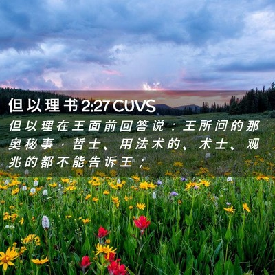 Picture 02 - 但 以 理 书 2:27 CUVS - 但 以 理 在 王 面 前 回 答 说 ： 王 - Bible Verse Picture