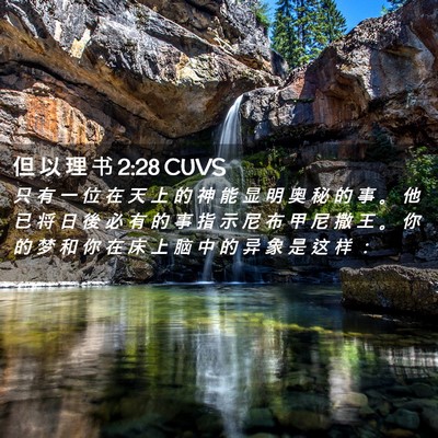 Picture 02 - 但 以 理 书 2:28 CUVS - 只 有 一 位 在 天 上 的 神 能 显 明 - Bible Verse Picture