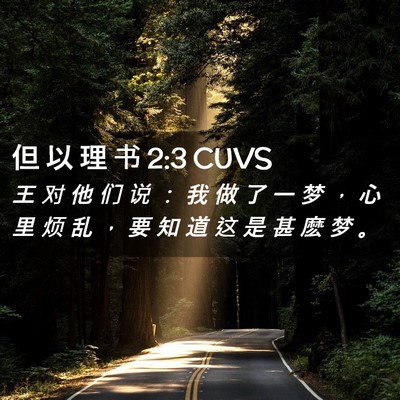 Picture 02 - 但 以 理 书 2:3 CUVS - 王 对 他 们 说 ： 我 做 了 一 梦 ， - Bible Verse Picture
