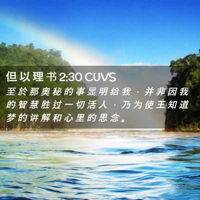 Picture 02 - 但 以 理 书 2:30 CUVS - 至 於 那 奥 秘 的 事 显 明 给 我 ， - Bible Verse Picture