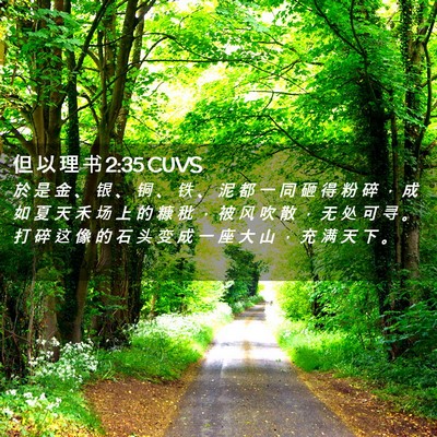 Picture 02 - 但 以 理 书 2:35 CUVS - 於 是 金 、 银 、 铜 、 铁 、 泥 都 - Bible Verse Picture