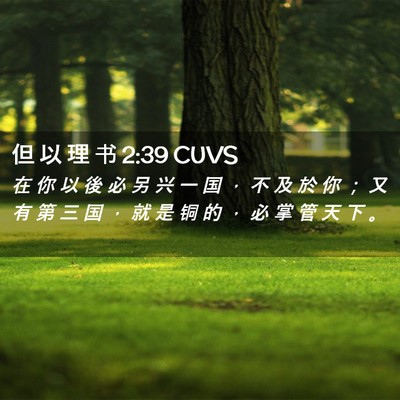 Picture 02 - 但 以 理 书 2:39 CUVS - 在 你 以 後 必 另 兴 一 国 ， 不 及 - Bible Verse Picture