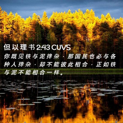 Picture 02 - 但 以 理 书 2:43 CUVS - 你 既 见 铁 与 泥 搀 杂 ， 那 国 民 - Bible Verse Picture