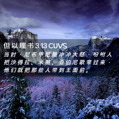 Picture 02 - 但 以 理 书 3:13 CUVS - 当 时 ， 尼 布 甲 尼 撒 冲 冲 大 怒 - Bible Verse Picture