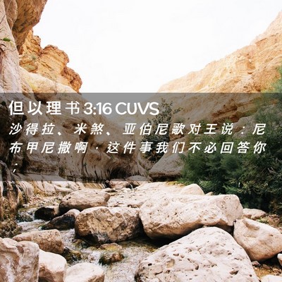 Picture 02 - 但 以 理 书 3:16 CUVS - 沙 得 拉 、 米 煞 、 亚 伯 尼 歌 对 - Bible Verse Picture