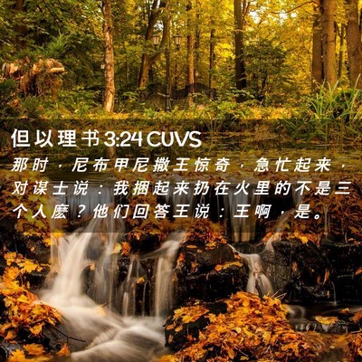 Picture 02 - 但 以 理 书 3:24 CUVS - 那 时 ， 尼 布 甲 尼 撒 王 惊 奇 ， - Bible Verse Picture