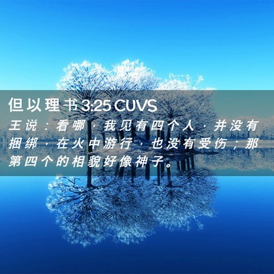 Picture 02 - 但 以 理 书 3:25 CUVS - 王 说 ： 看 哪 ， 我 见 有 四 个 人 - Bible Verse Picture