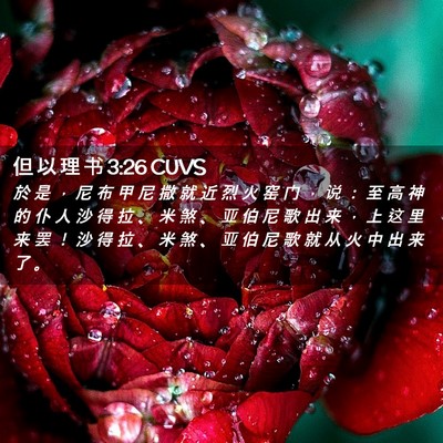 Picture 02 - 但 以 理 书 3:26 CUVS - 於 是 ， 尼 布 甲 尼 撒 就 近 烈 火 - Bible Verse Picture