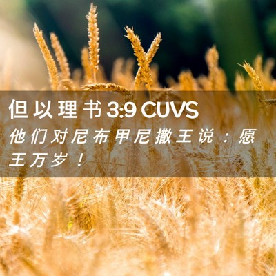 Picture 02 - 但 以 理 书 3:9 CUVS - 他 们 对 尼 布 甲 尼 撒 王 说 ： 愿 - Bible Verse Picture