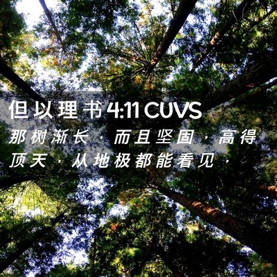 Picture 02 - 但 以 理 书 4:11 CUVS - 那 树 渐 长 ， 而 且 坚 固 ， 高 得 - Bible Verse Picture