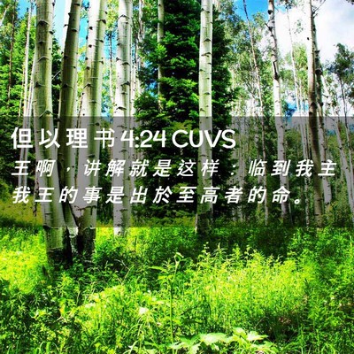 Picture 02 - 但 以 理 书 4:24 CUVS - 王 啊 ， 讲 解 就 是 这 样 ： 临 到 - Bible Verse Picture